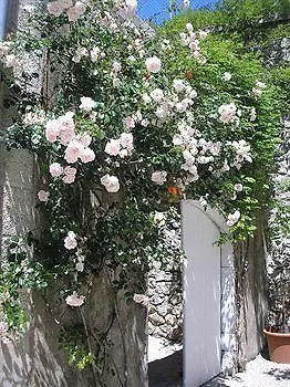 Bed and Breakfast La Saudade Saint-Péray Bed & Breakfast